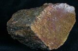 Agatized Dinosaur Bone Chunk (Polished) #7232-1